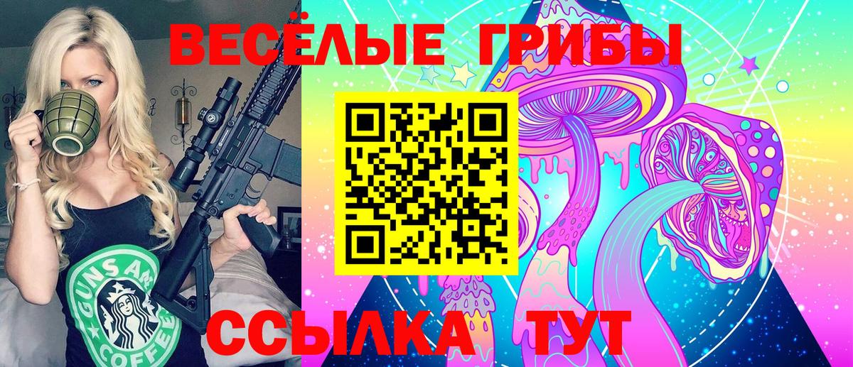 Псилоцибиновые грибы Cubensis Кирово-Чепецк