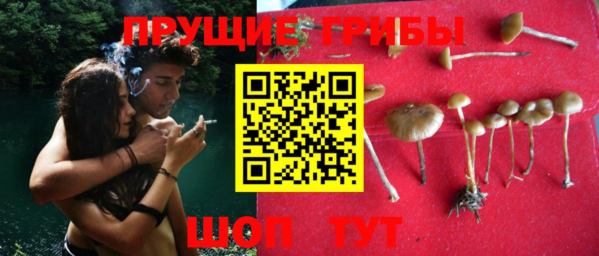 магазин    Галлюциногенные грибы мицелий  Галлюциногенные грибы ЛСД  Вход с VPN  Кирово-Чепецк 